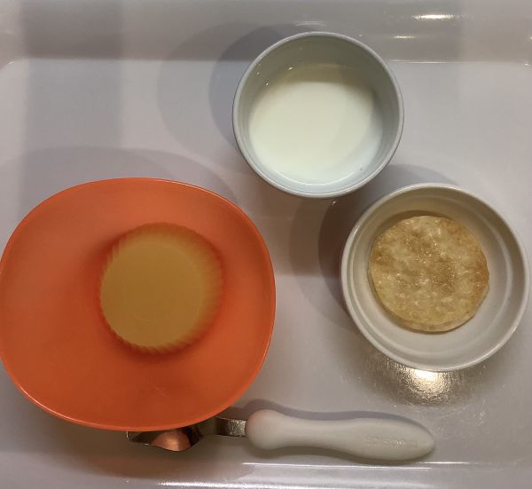 オレンジゼリー、せんべい常食