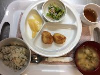 豆腐の落とし揚げ 常食