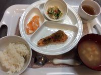 鮭の磯辺焼き、キャベツのおかか和え常食本日の給食に畑のキャベツが入っています。