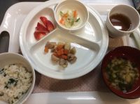 鶏肉と里芋の煮物常食本日のすまし汁に畑のねぎが入っています。