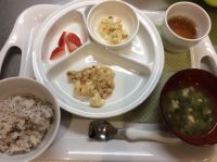 豆腐の肉みそ煮常食本日の給食に畑のねぎが入っています。