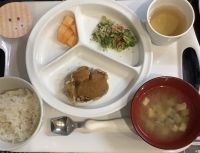 おろしハンバーグ常食