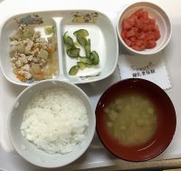 鶏肉団子の野菜煮離乳食後期